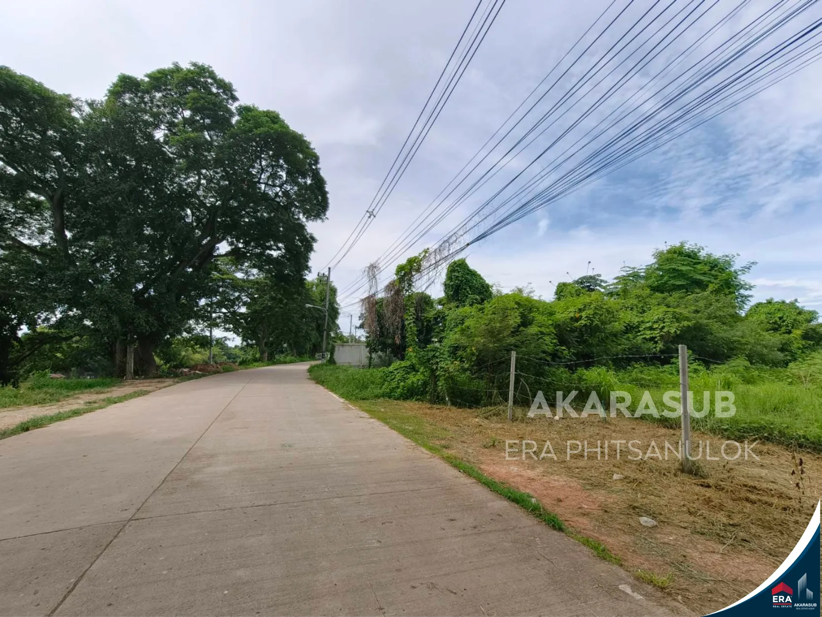 ที่ดินแปลงสวยวิวแม่น้ำน่าน รูปที่ 2