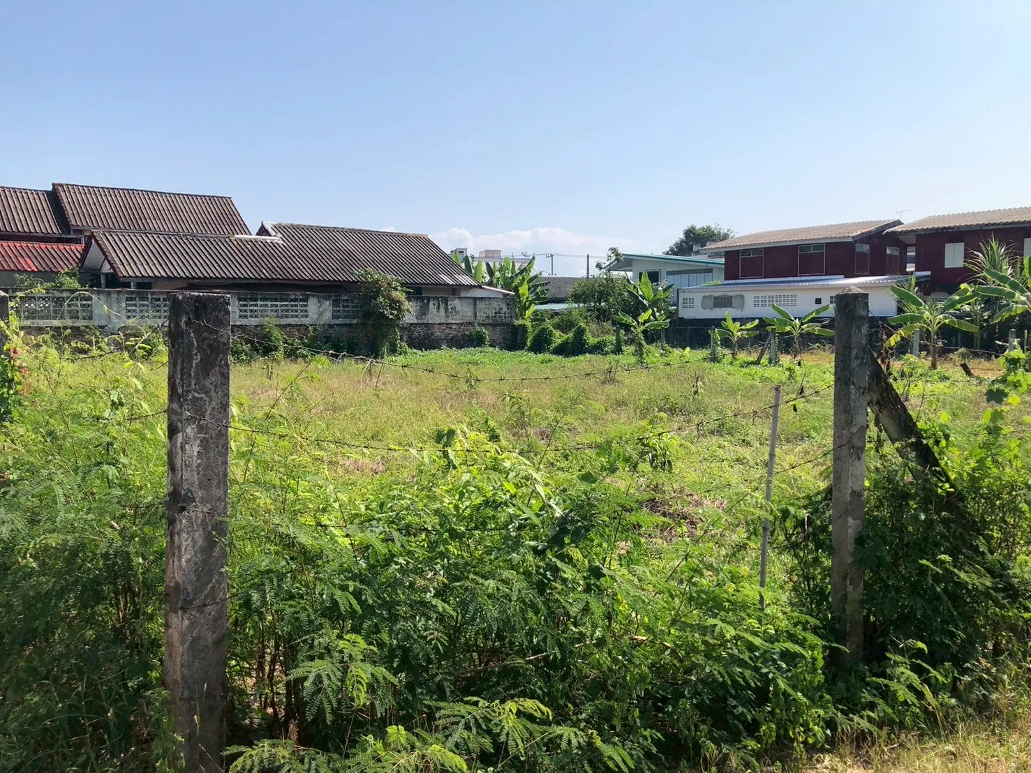 ที่ดิน 194 ตร.วา ใกล้โรงแรมท๊อปแลนด์ อ.เมืองพิษณุโลก รูปที่ 4