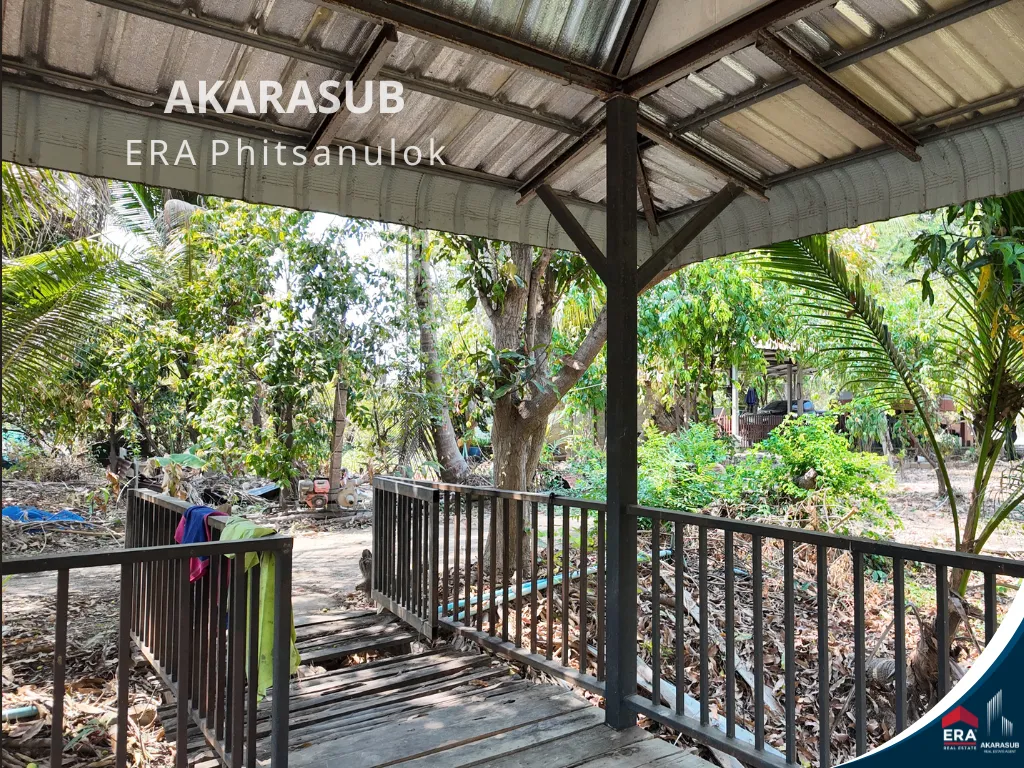 ขายบ้านสวน 6 ไร่ ใกล้ รพ.วังทอง รูปที่ 9