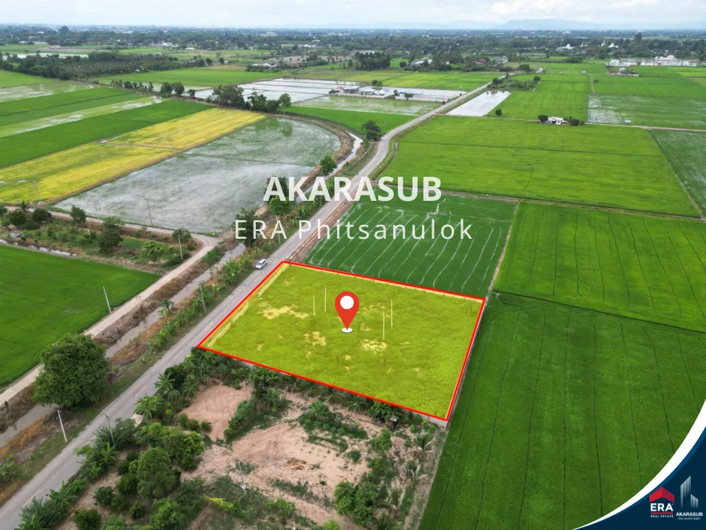 ที่ดินถมแล้ว น้ำไฟเข้าพร้อม มี 6 แปลง สามารถสร้างบ้านได้ 6หลัง ทำเลดี ใกล้มน. รูปที่ 1