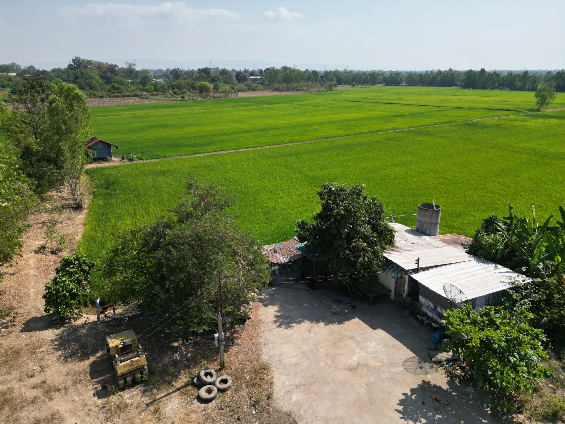 ที่ดิน 35 ไร่ 3 งาน 20 ตร.ว ติดถนนเลี่ยงเมืองพิษณุโลก (ตรงข้ามมหาวิทยาลัยพิษณุโลก) รูปที่ 3