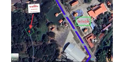 ที่ดิน 189 ตร.วา ใกล้วัดวังเป็ด บางระกำ รูปที่ 2