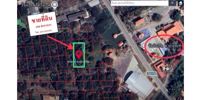 ที่ดิน 189 ตร.วา ใกล้วัดวังเป็ด บางระกำ รูปที่ 4