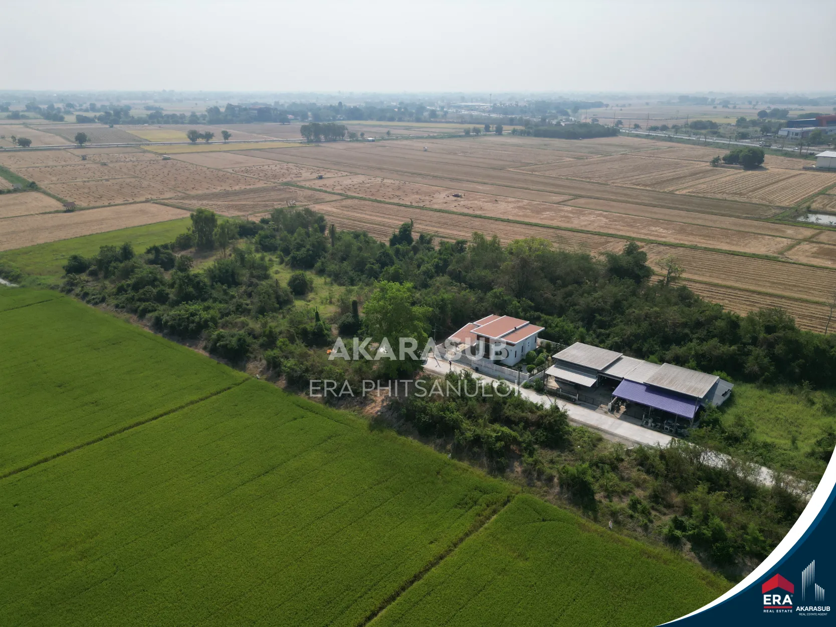  ที่ดิน ใกล้แยกวัดสะกัดน้ำมัน วังส้มซ่า 132 ตร.วา รูปที่ 3