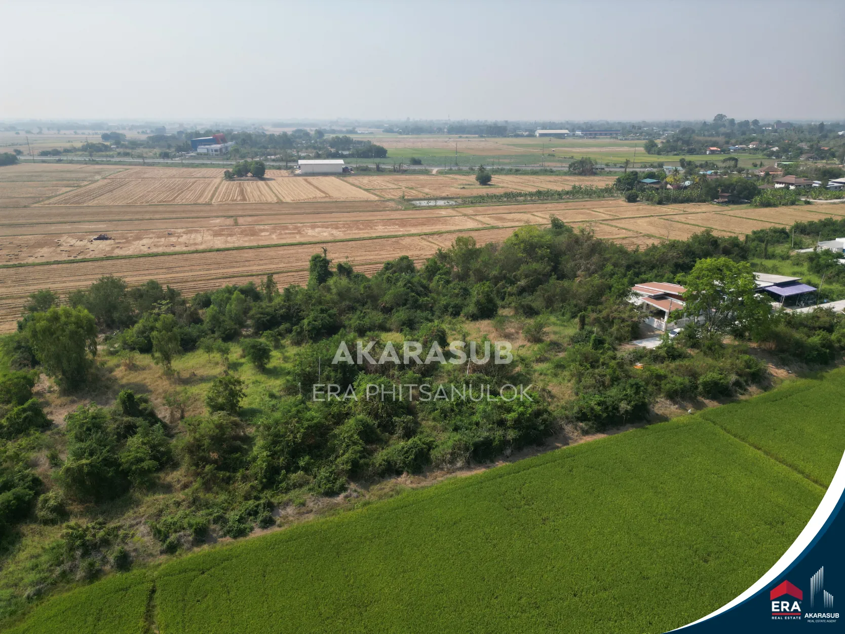  ที่ดิน ใกล้แยกวัดสะกัดน้ำมัน วังส้มซ่า 132 ตร.วา รูปที่ 5