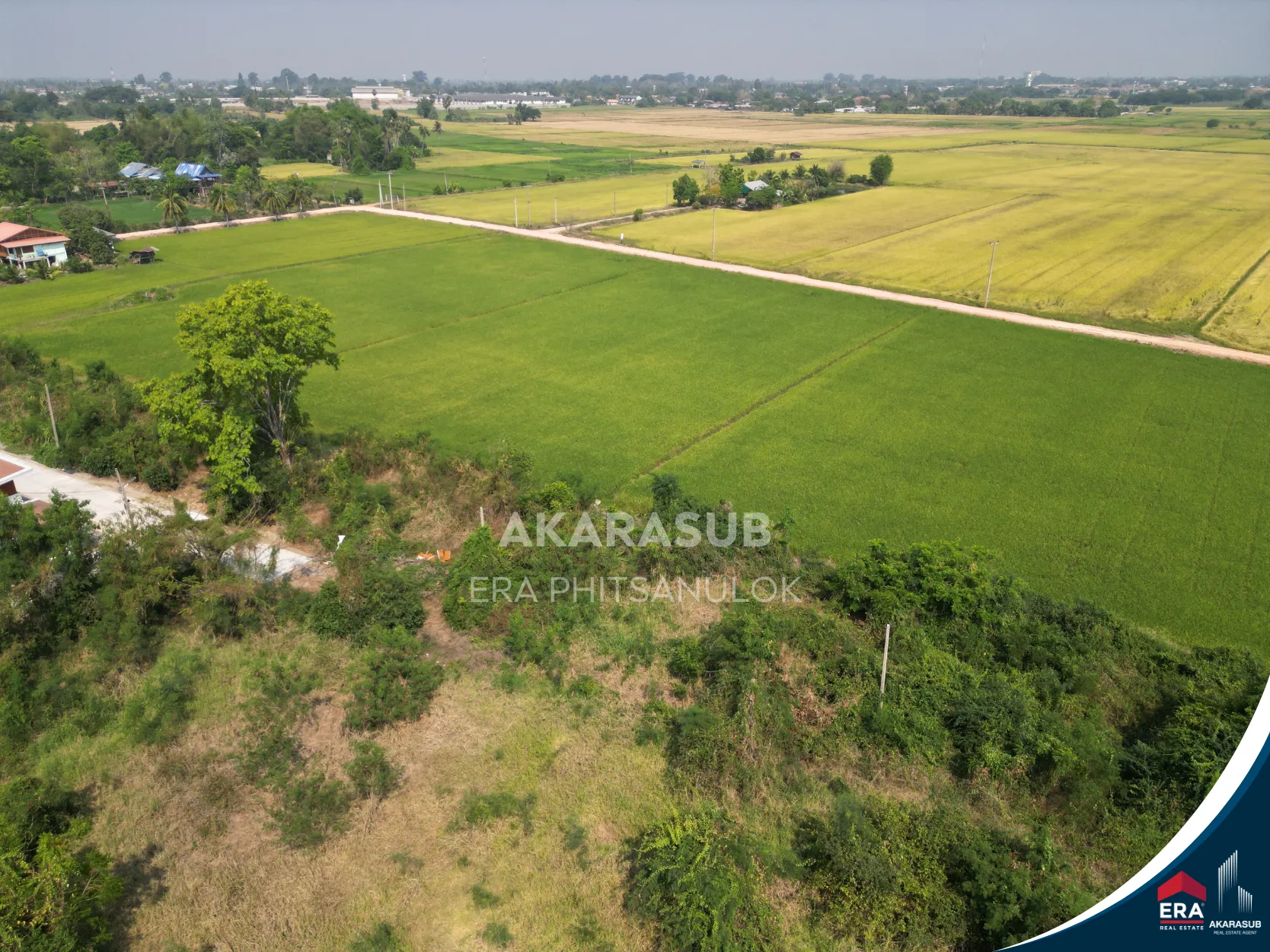  ที่ดิน ใกล้แยกวัดสะกัดน้ำมัน วังส้มซ่า 132 ตร.วา รูปที่ 9