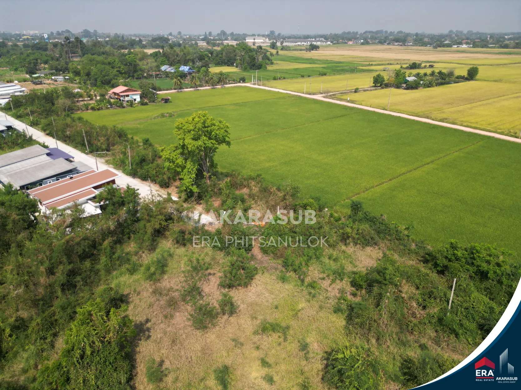  ที่ดิน ใกล้แยกวัดสะกัดน้ำมัน วังส้มซ่า 132 ตร.วา รูปที่ 10