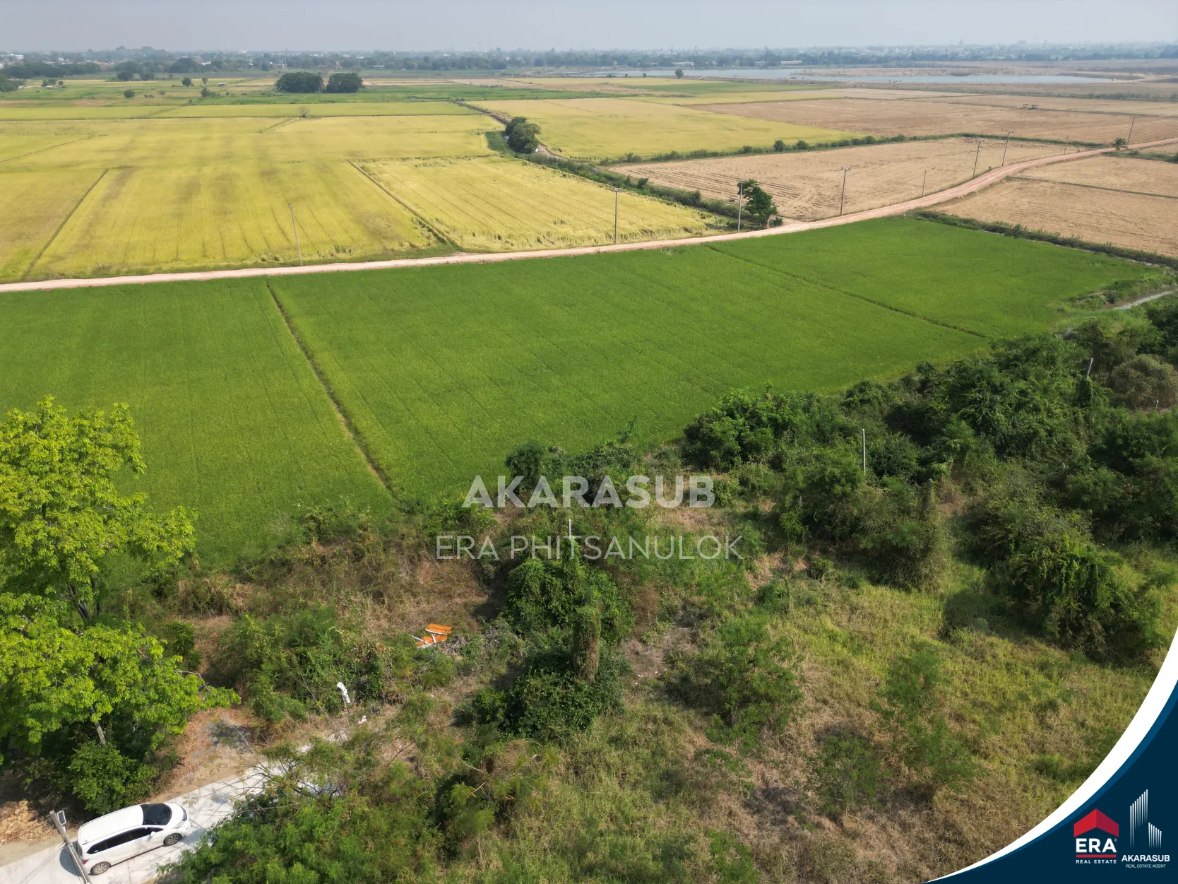  ที่ดิน ใกล้แยกวัดสะกัดน้ำมัน วังส้มซ่า 132 ตร.วา รูปที่ 11