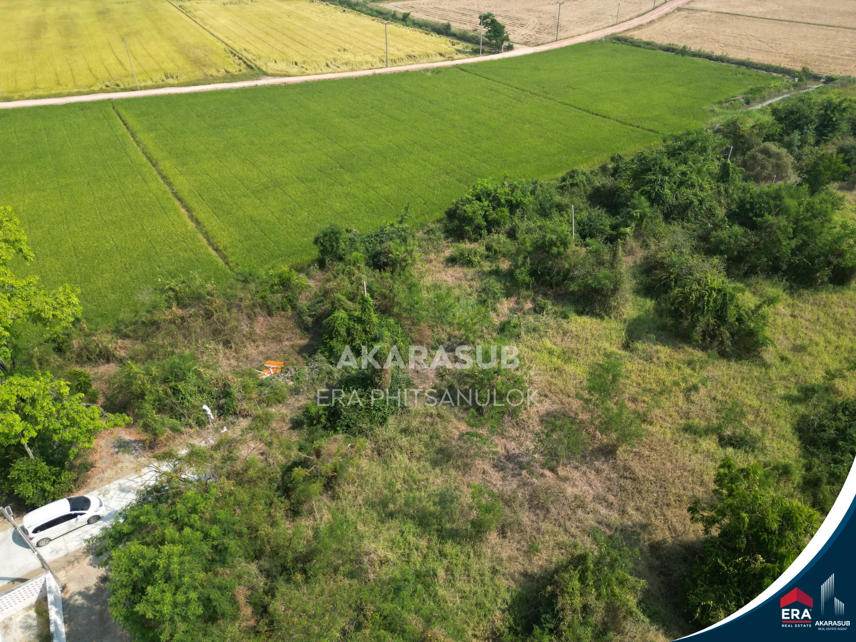  ที่ดิน ใกล้แยกวัดสะกัดน้ำมัน วังส้มซ่า 132 ตร.วา รูปที่ 12