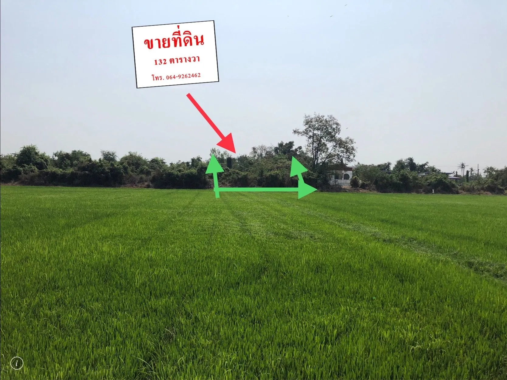  ที่ดิน ใกล้แยกวัดสะกัดน้ำมัน วังส้มซ่า 132 ตร.วา รูปที่ 16
