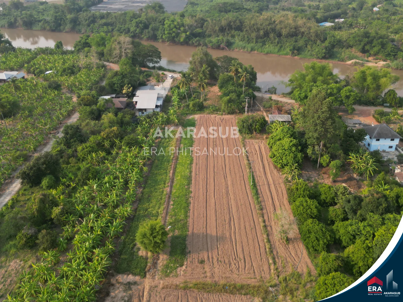 ที่ดินติดแม่น้ำน่าน 2 ไร่กว่า บรรยากาศธรรมชาติ เหมาะสร้างบ้านสวน รูปที่ 3