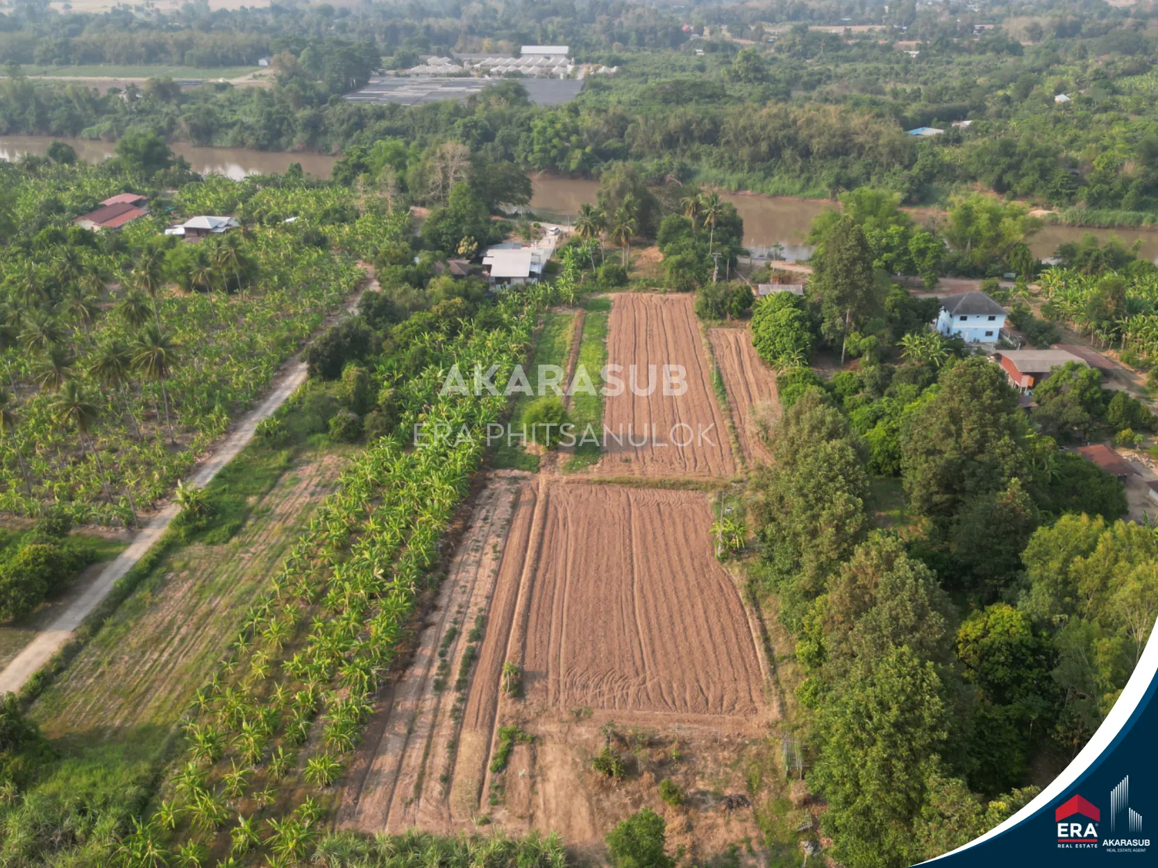 ที่ดินติดแม่น้ำน่าน 2 ไร่กว่า บรรยากาศธรรมชาติ เหมาะสร้างบ้านสวน รูปที่ 4