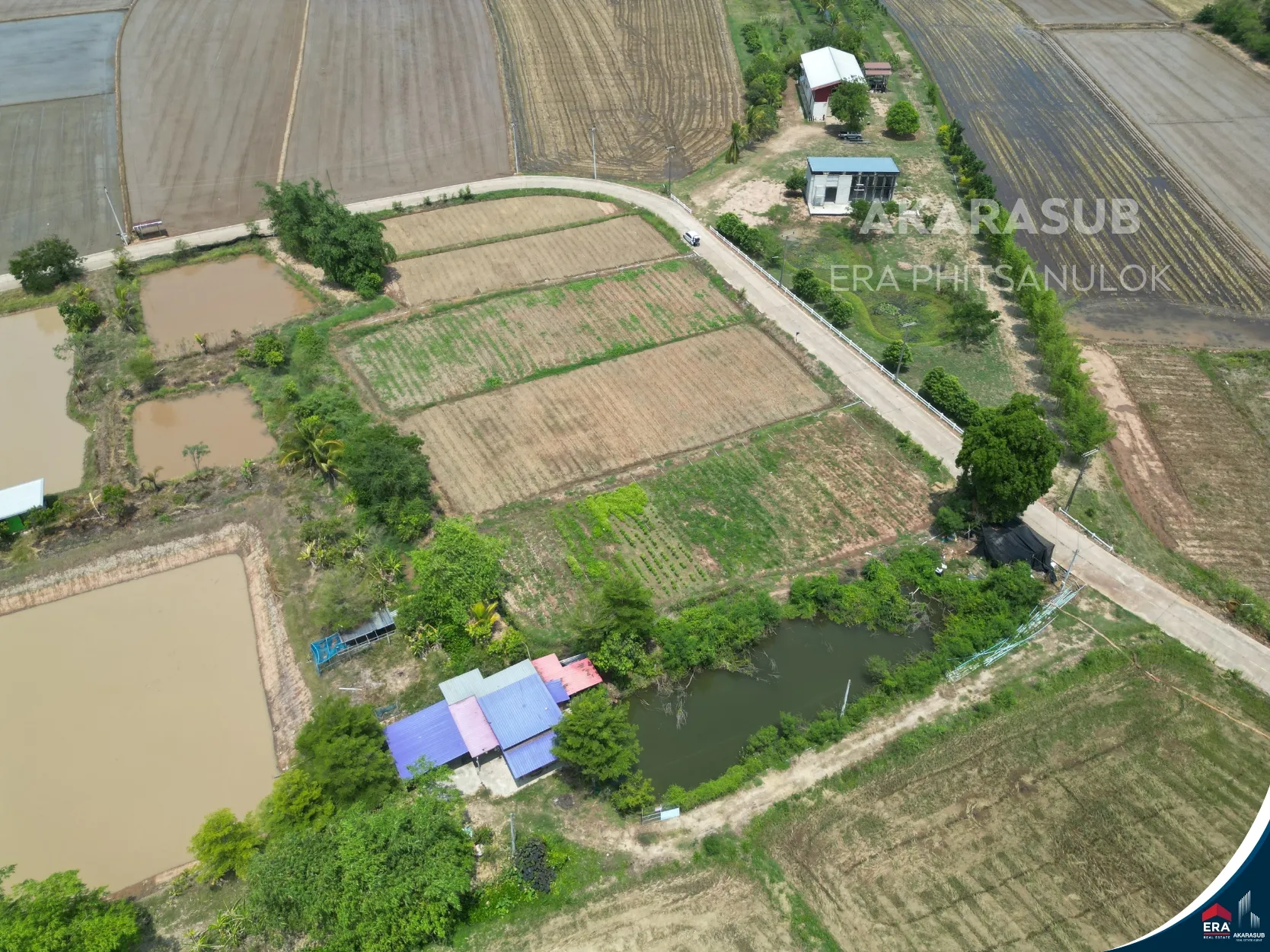 ที่ดินแบ่งขาย ใกล้สถานีรถไฟบึงพระ หลายขนาด เลือกได้ตามงบ ราคาเริ่มต้นหลักแสน รูปที่ 3