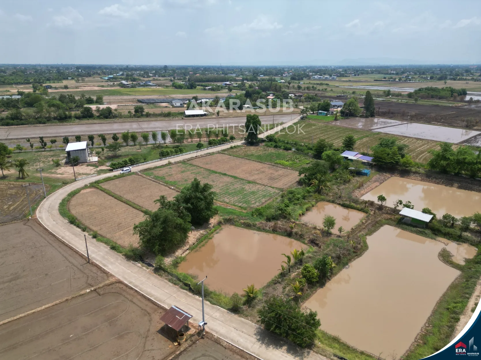 ที่ดินแบ่งขาย ใกล้สถานีรถไฟบึงพระ หลายขนาด เลือกได้ตามงบ ราคาเริ่มต้นหลักแสน รูปที่ 5
