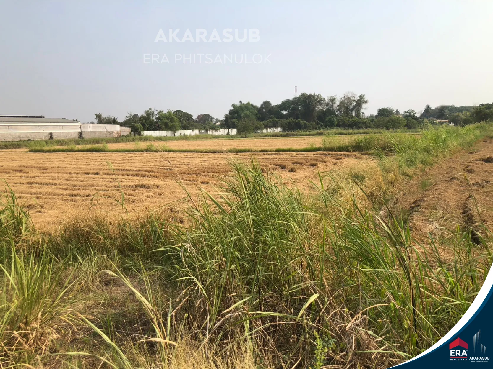 ที่ดินติดถนน4เลน (ทางหลวง1114) หน้ากว้างเกือบ 100 เมตร รูปที่ 9