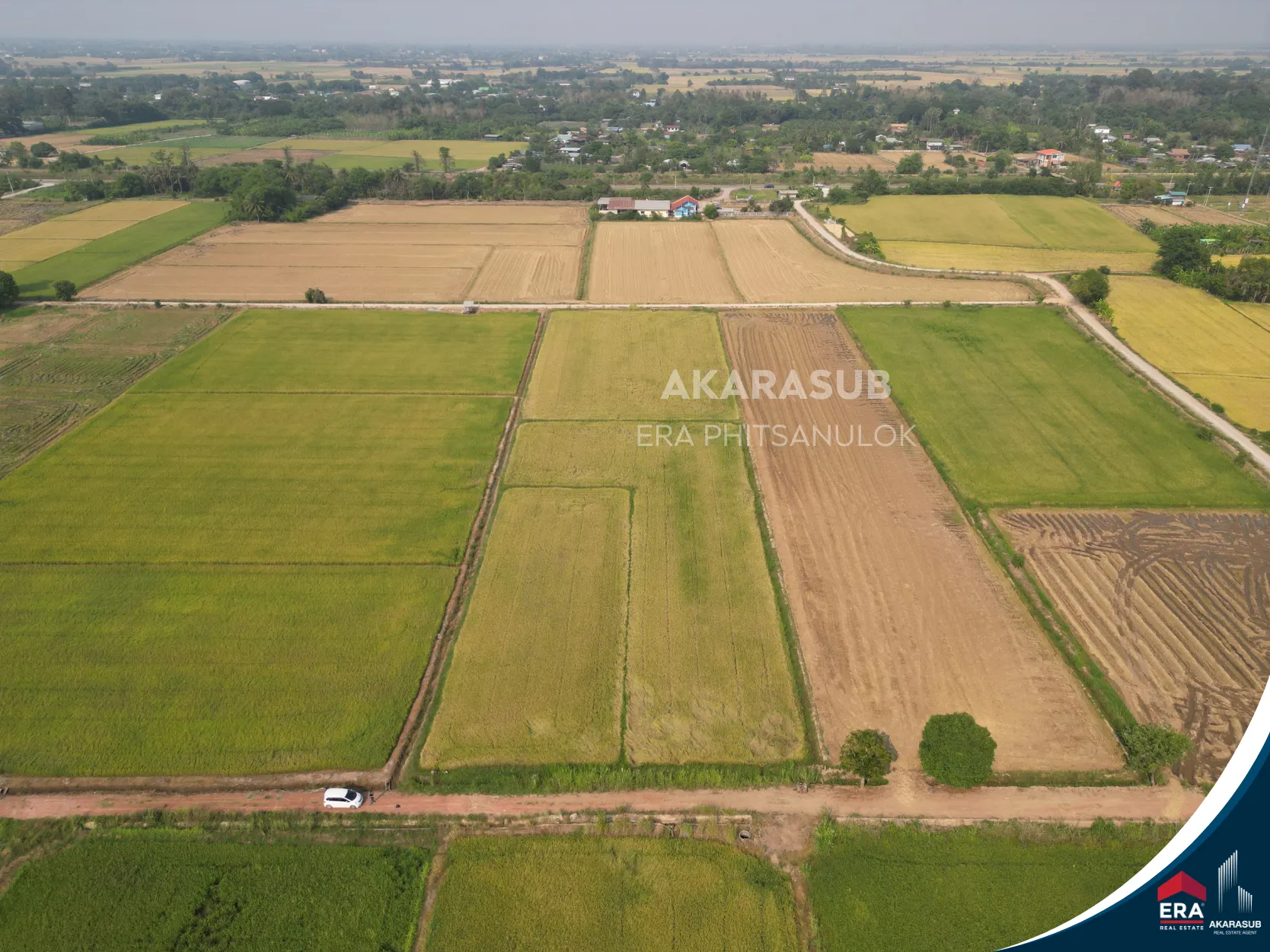 ที่ดินใกล้ ม.นเรศวร 1-1-0 ไร่ เหมาะสร้างบ้านหรือทำโครงการ รูปที่ 3