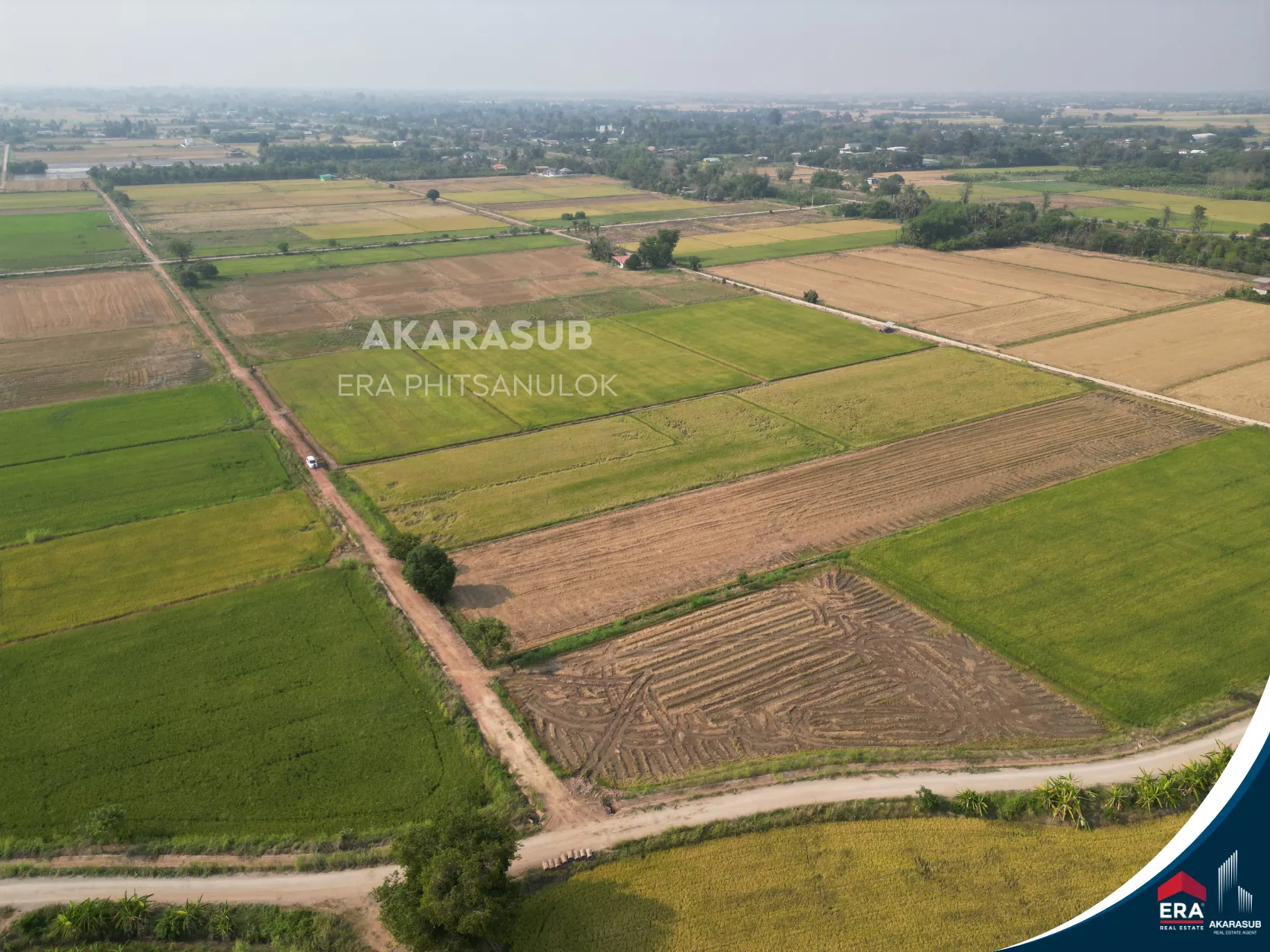 ที่ดินใกล้ ม.นเรศวร 1-1-0 ไร่ เหมาะสร้างบ้านหรือทำโครงการ รูปที่ 4