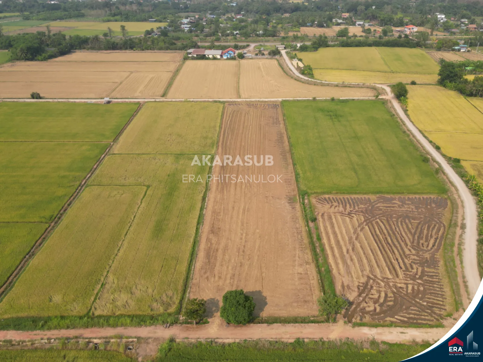 ที่ดินใกล้ ม.นเรศวร 1-1-0 ไร่ เหมาะสร้างบ้านหรือทำโครงการ รูปที่ 8