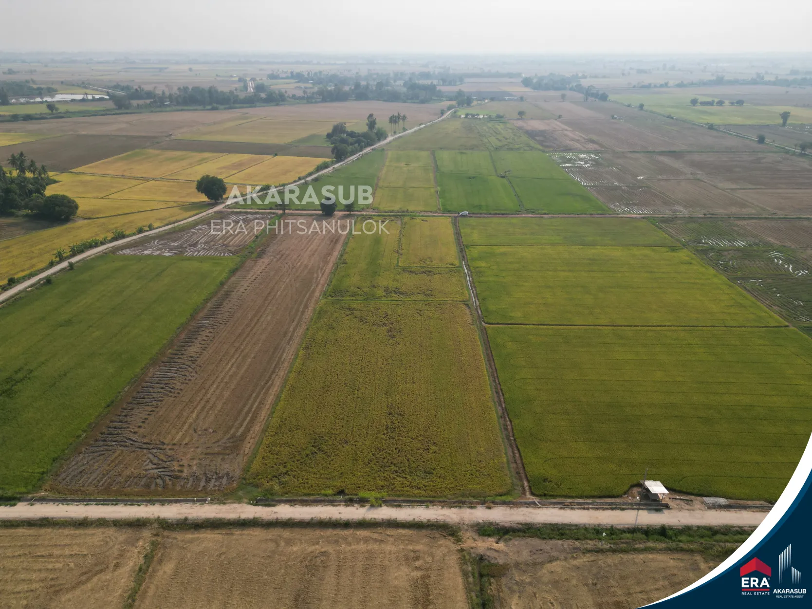 ที่ดินสวย ใกล้ม.นเรศวร 7 นาที เหมาะทำหมู่บ้าน รูปที่ 4