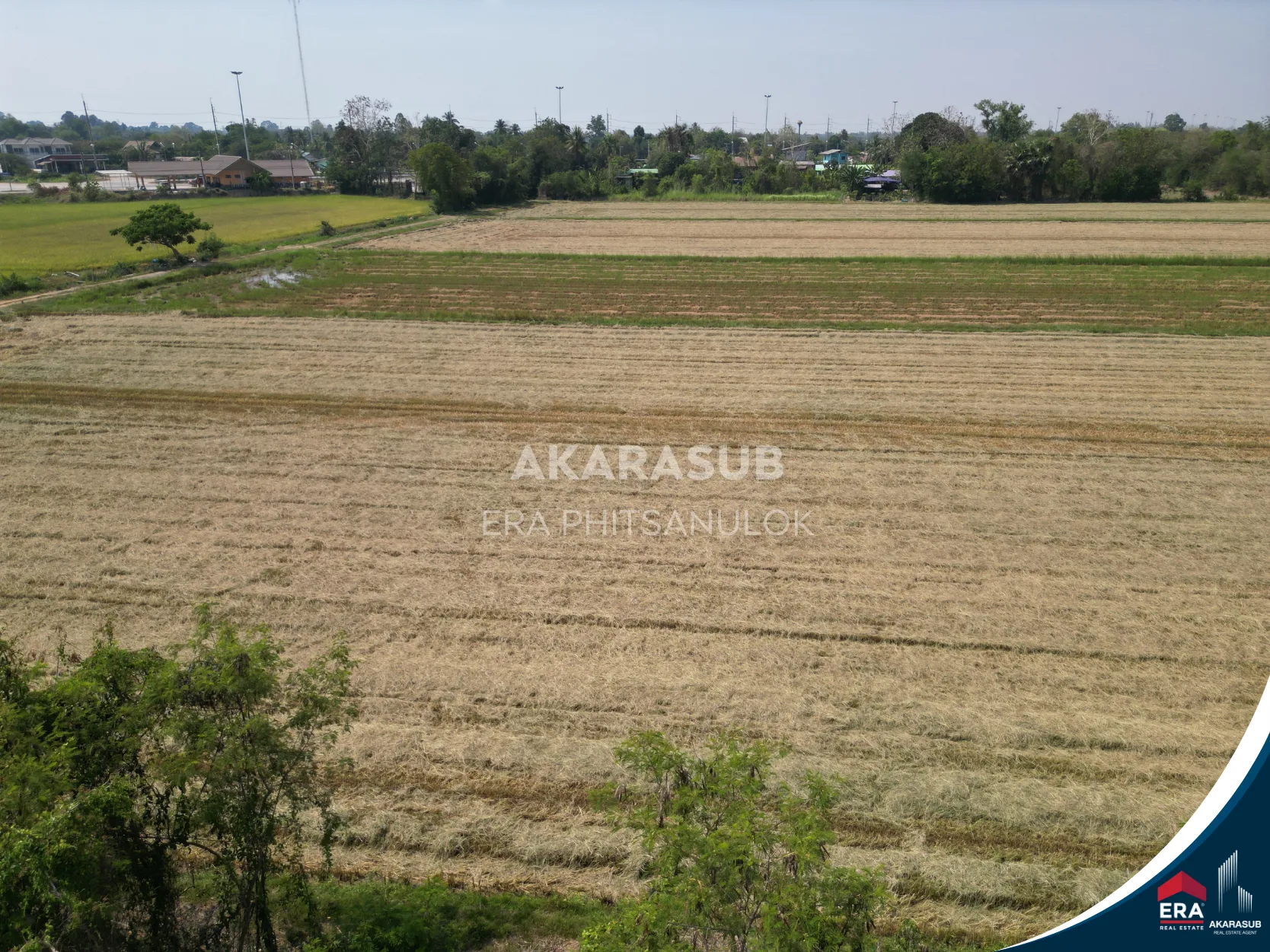ที่ดินสวย ใกล้ม.นเรศวร ใกล้ถนนสาย117 200เมตร รูปที่ 2