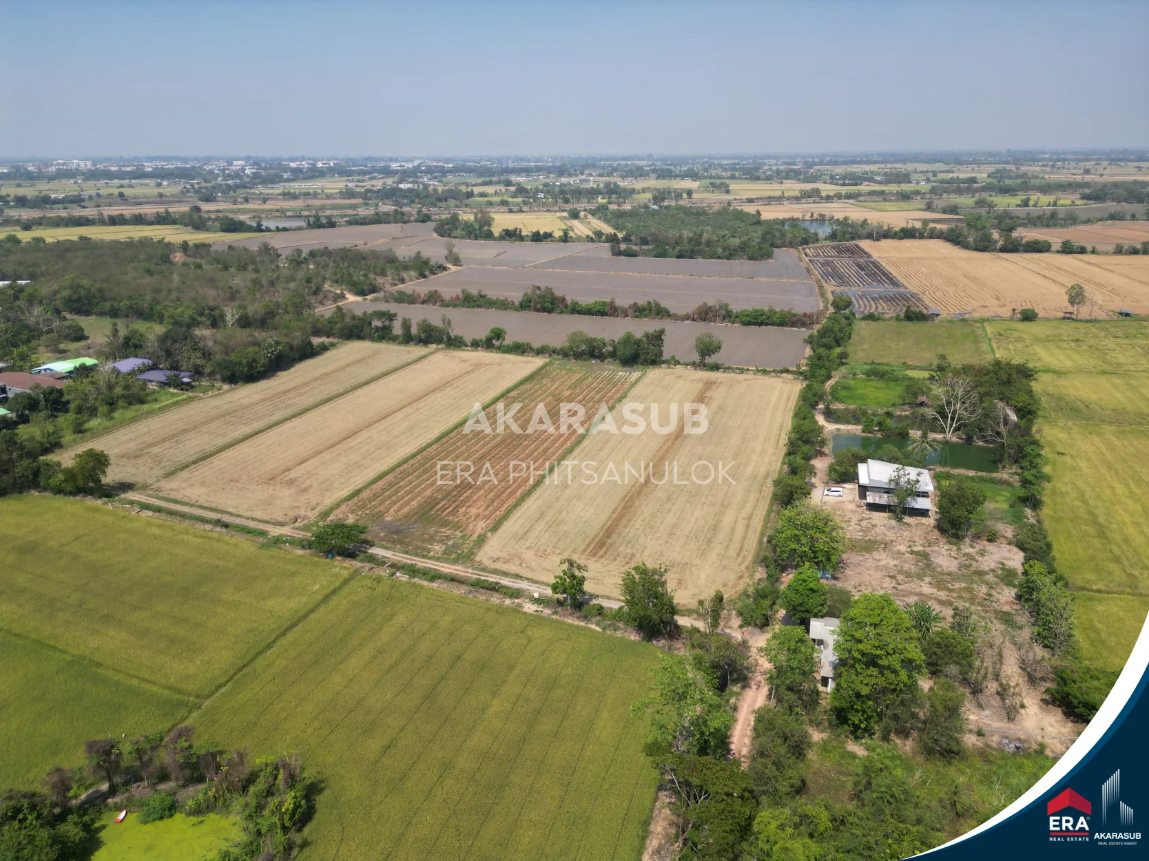 ที่ดินสวย ใกล้ม.นเรศวร ใกล้ถนนสาย117 200เมตร รูปที่ 4