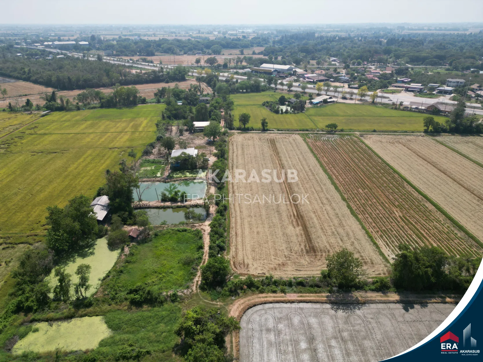 ที่ดินสวย ใกล้ม.นเรศวร ใกล้ถนนสาย117 200เมตร รูปที่ 5