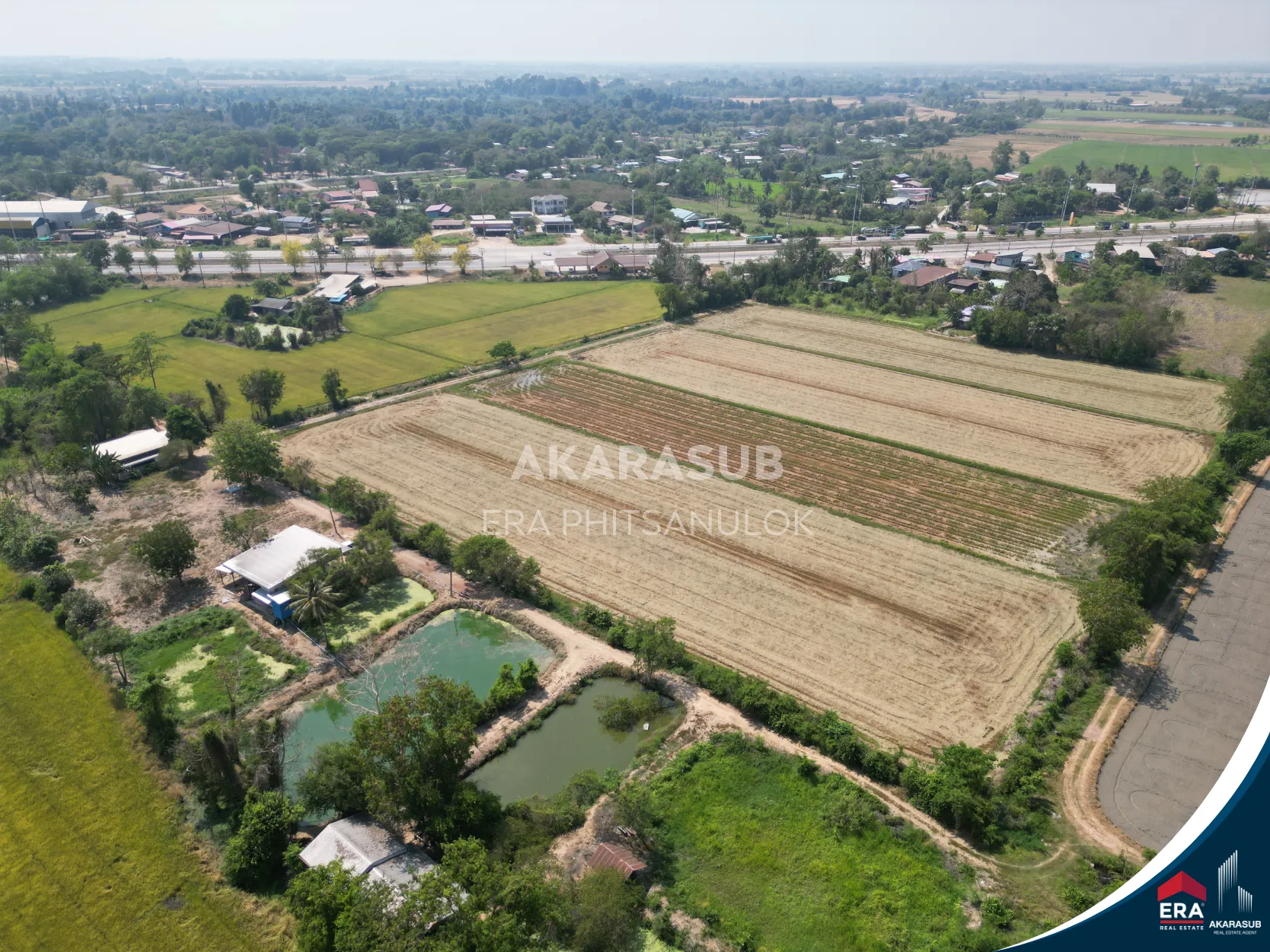 ที่ดินสวย ใกล้ม.นเรศวร ใกล้ถนนสาย117 200เมตร รูปที่ 6