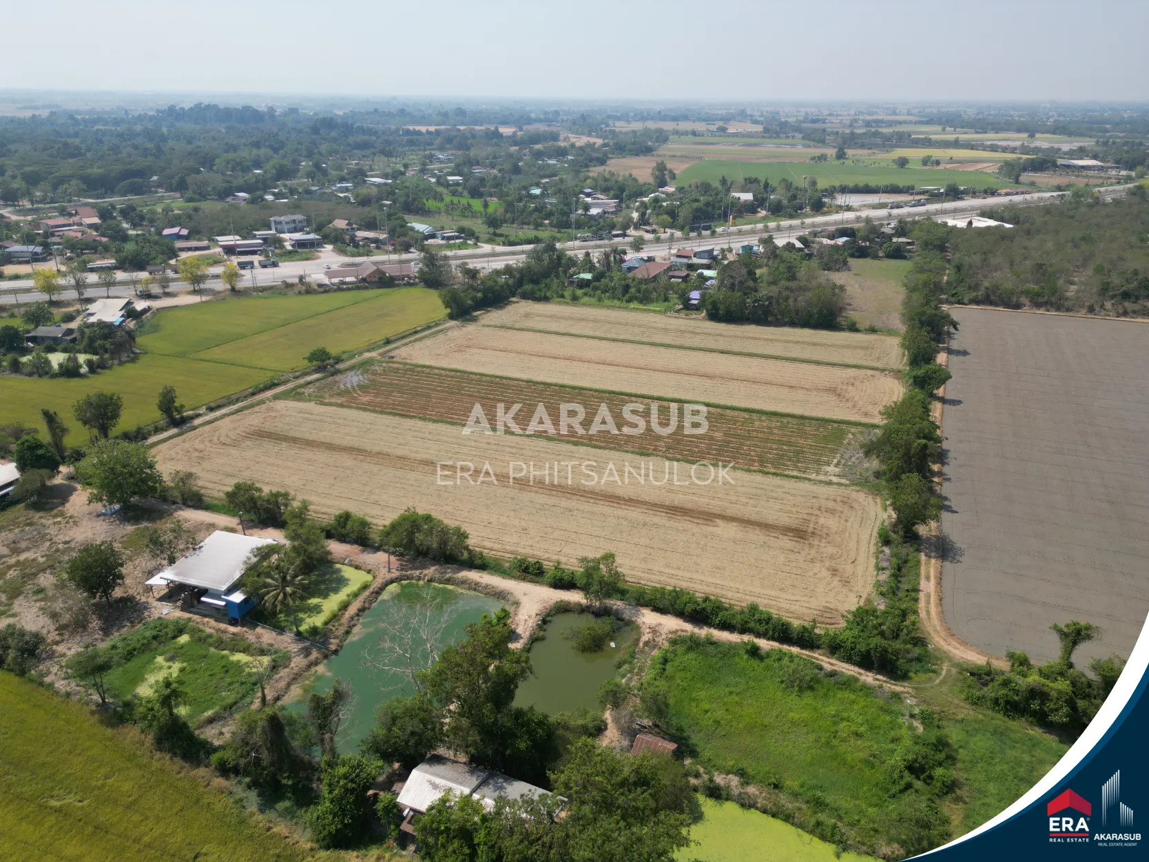 ที่ดินสวย ใกล้ม.นเรศวร ใกล้ถนนสาย117 200เมตร รูปที่ 7