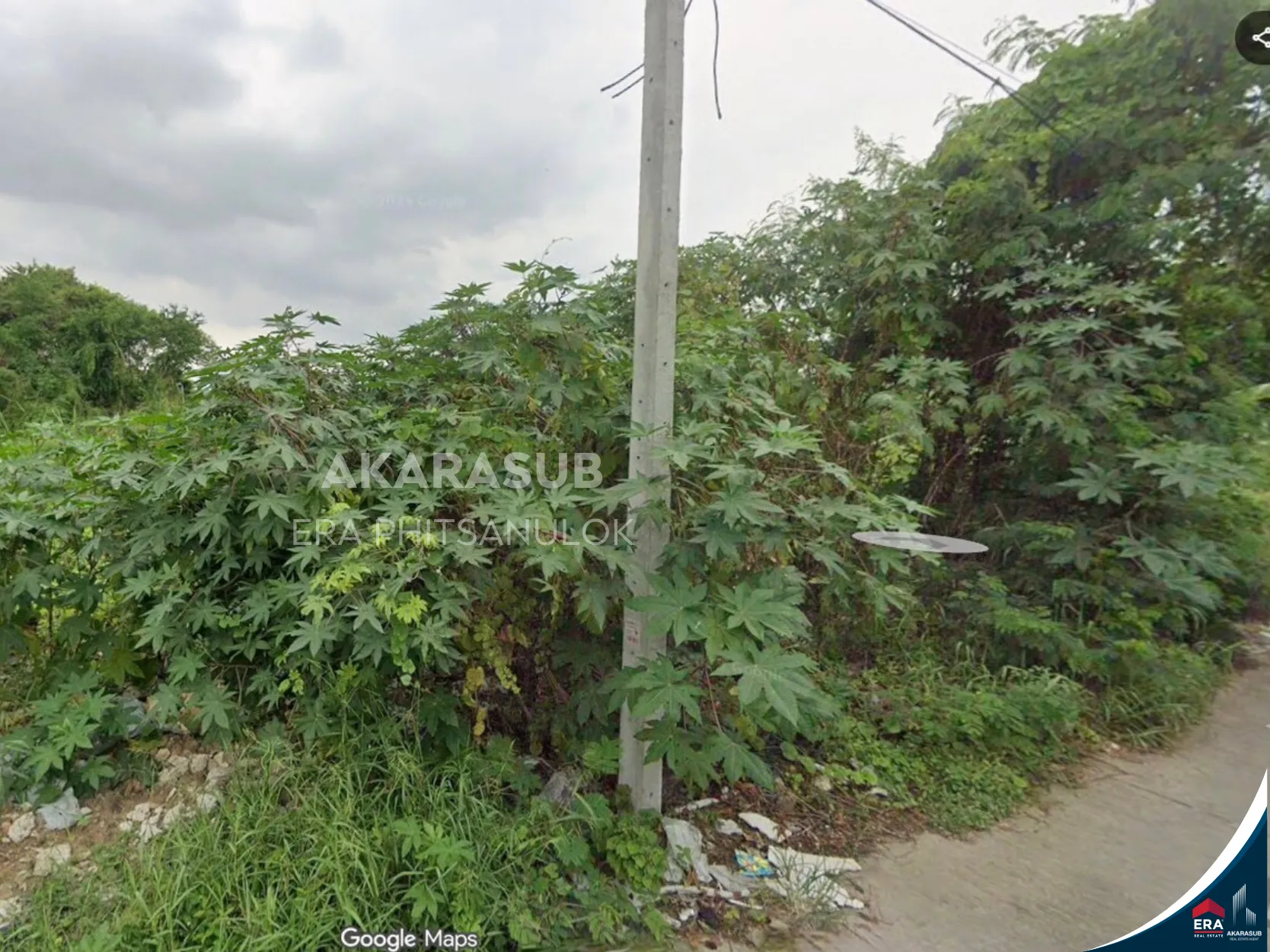 ที่ดินเปล่า 1 ไร่ ซอยแบริ่ง 66/1 รูปที่ 2