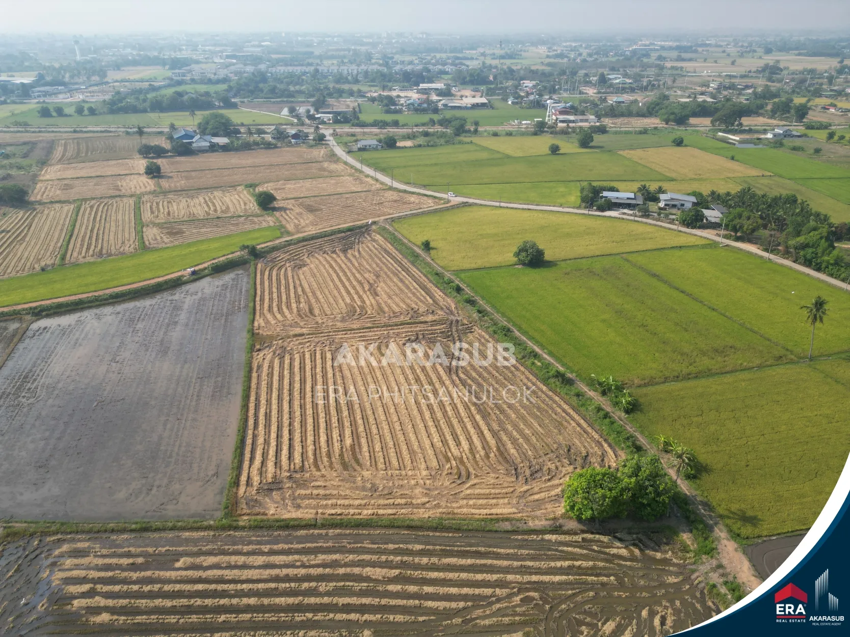 ที่ดิน ซอย 8เซียนคาเฟ่ เหมาะพัฒนาโครงการบ้าน (ราคาต่ำกว่าตลาด) รูปที่ 2
