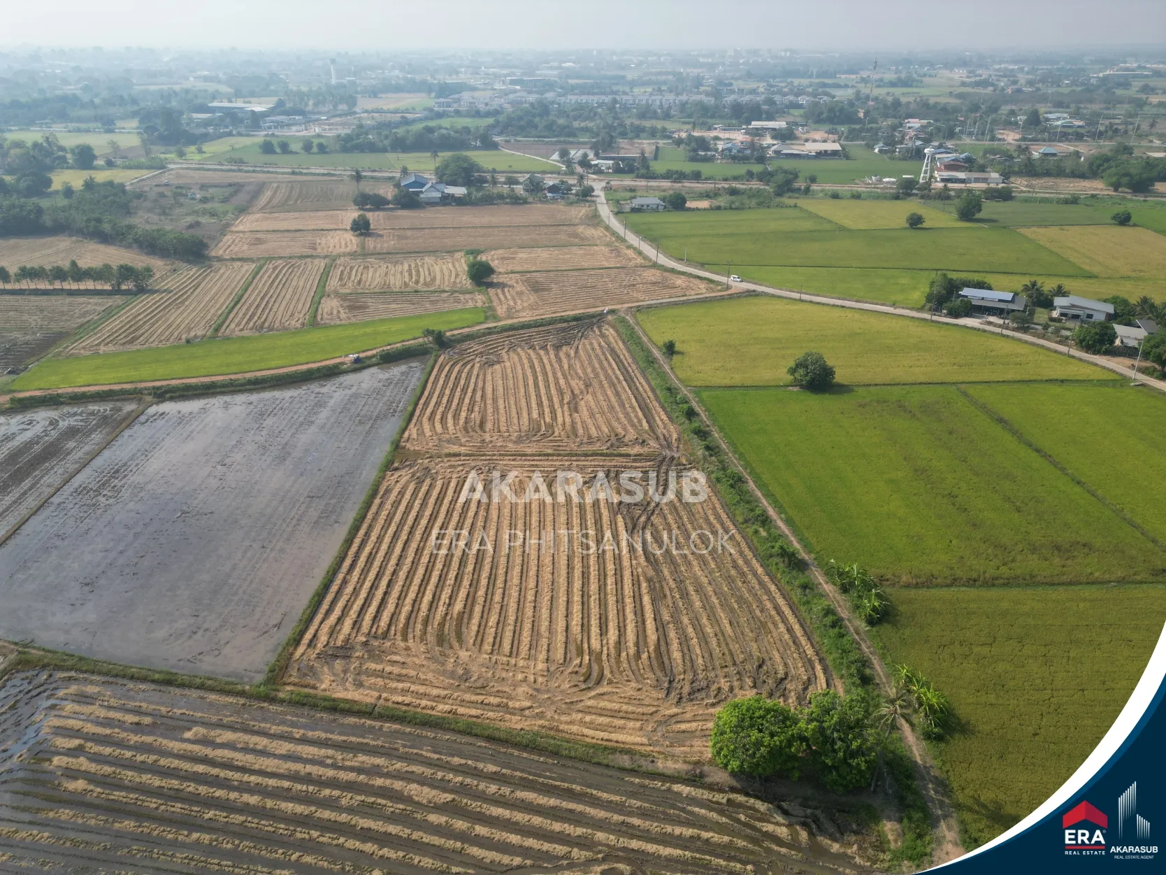 ที่ดิน ซอย 8เซียนคาเฟ่ เหมาะพัฒนาโครงการบ้าน (ราคาต่ำกว่าตลาด) รูปที่ 3