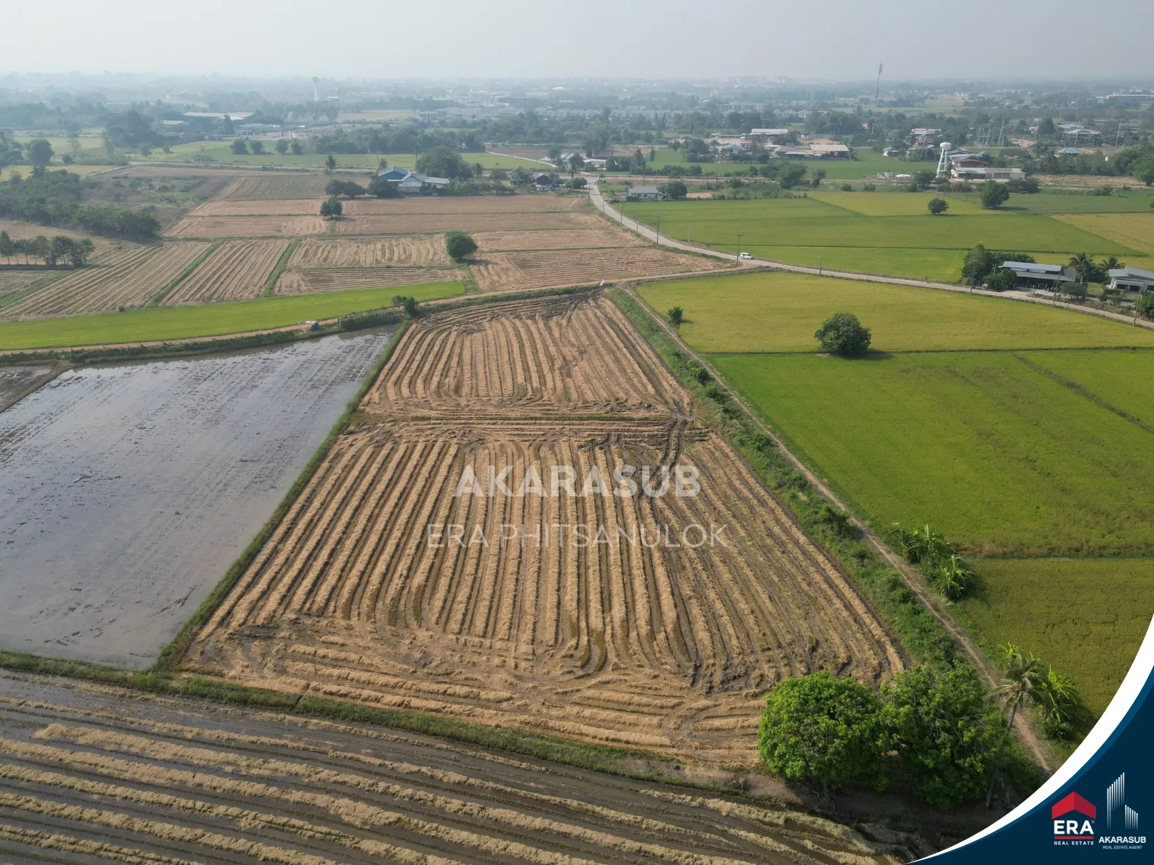 ที่ดิน ซอย 8เซียนคาเฟ่ เหมาะพัฒนาโครงการบ้าน (ราคาต่ำกว่าตลาด) รูปที่ 4