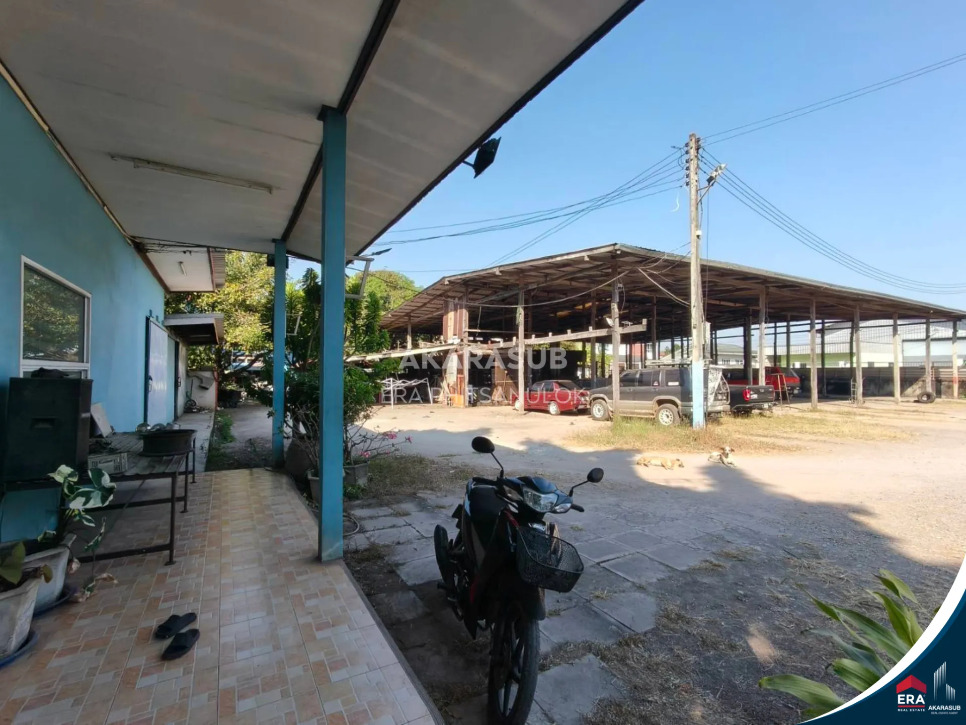 ที่ดินใหญ่ 2ไร่ ใจกลางเมืองพิษณุโลก พร้อมบ้าน 1 หลัง รูปที่ 11