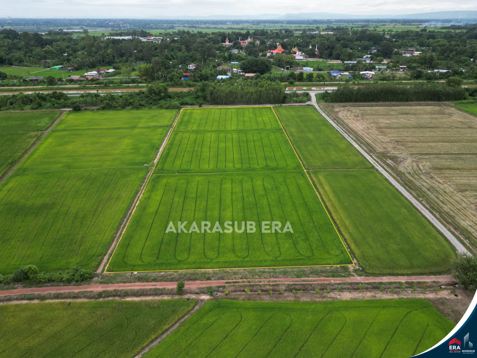 ที่ดินแปลงสวยเนื้อที่8 ไร่กว่า ใกล้ม.นเรศวร รูปที่ 5