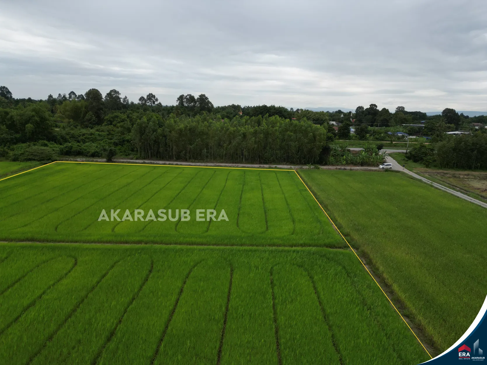 ที่ดินแปลงสวยเนื้อที่8 ไร่กว่า ใกล้ม.นเรศวร รูปที่ 11