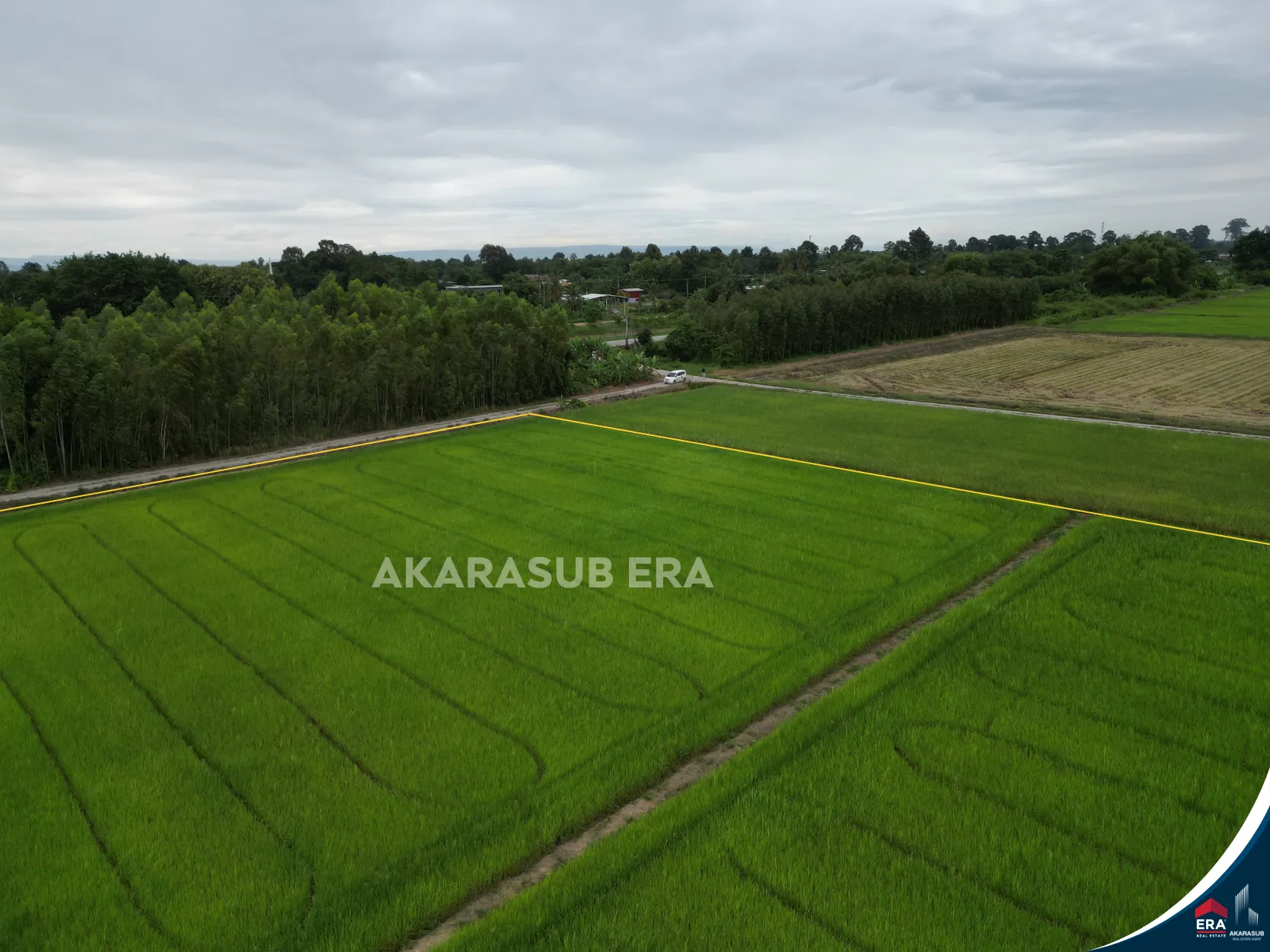 ที่ดินแปลงสวยเนื้อที่8 ไร่กว่า ใกล้ม.นเรศวร รูปที่ 12