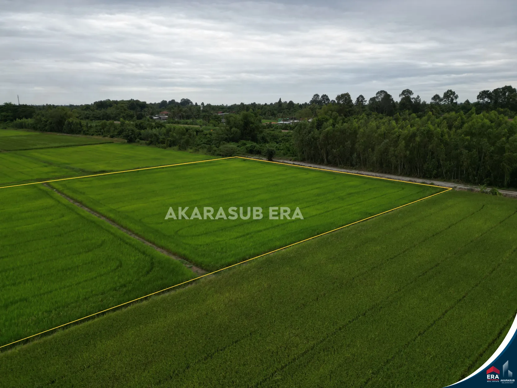 ที่ดินแปลงสวยเนื้อที่8 ไร่กว่า ใกล้ม.นเรศวร รูปที่ 14