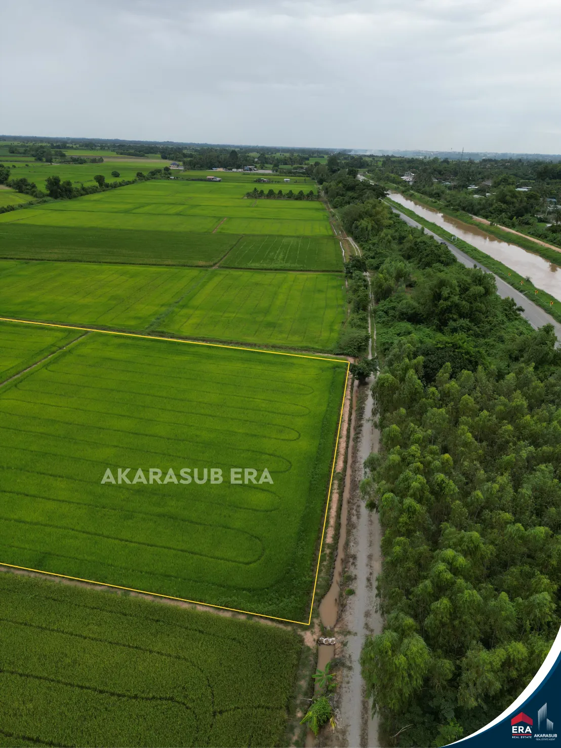 ที่ดินแปลงสวยเนื้อที่8 ไร่กว่า ใกล้ม.นเรศวร รูปที่ 15