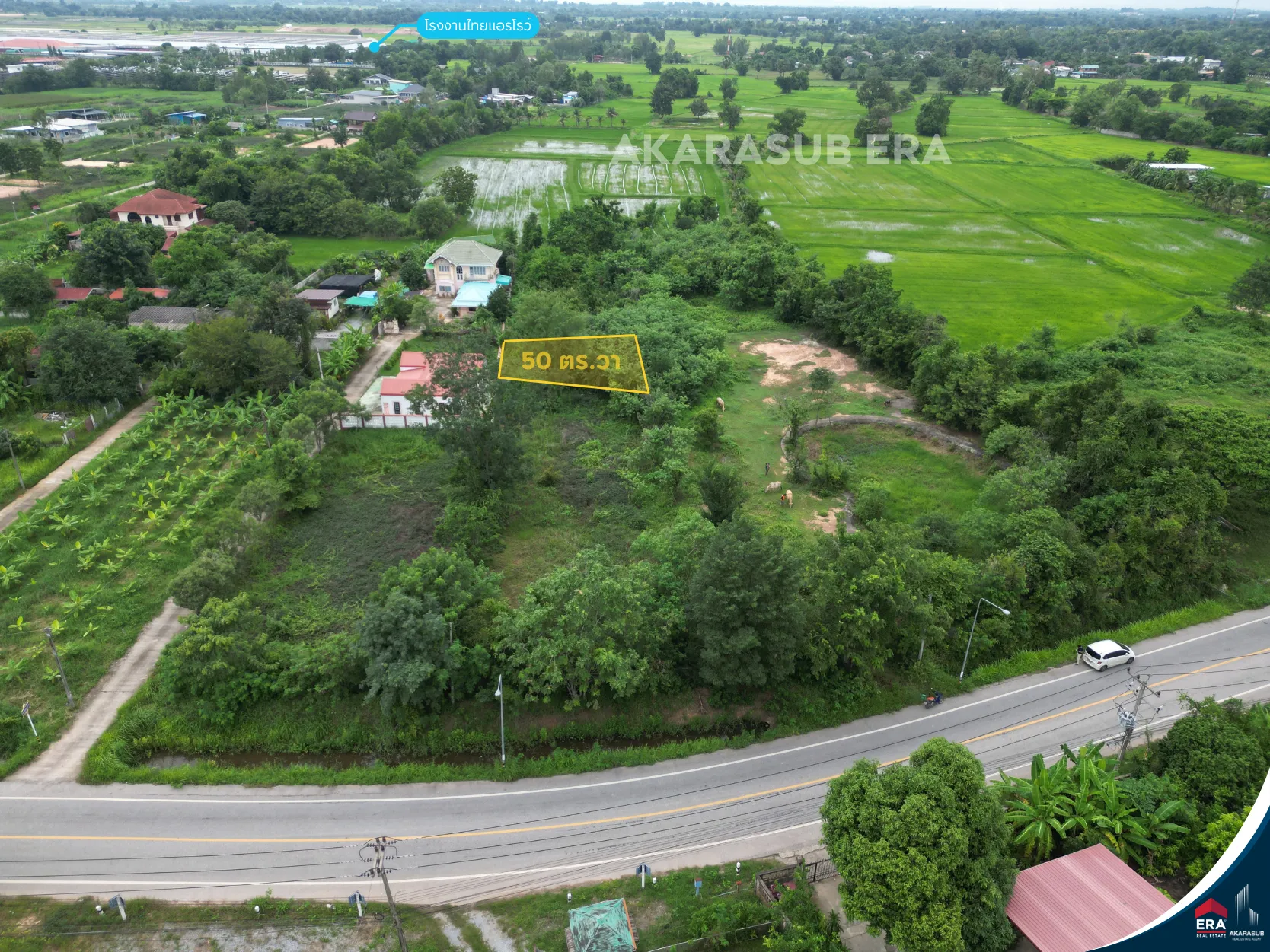 ที่ดิน ใกล้บริษัทไทยแอโรว์ พิษณุโลก ขนาด 50 ตร.วา รูปที่ 3