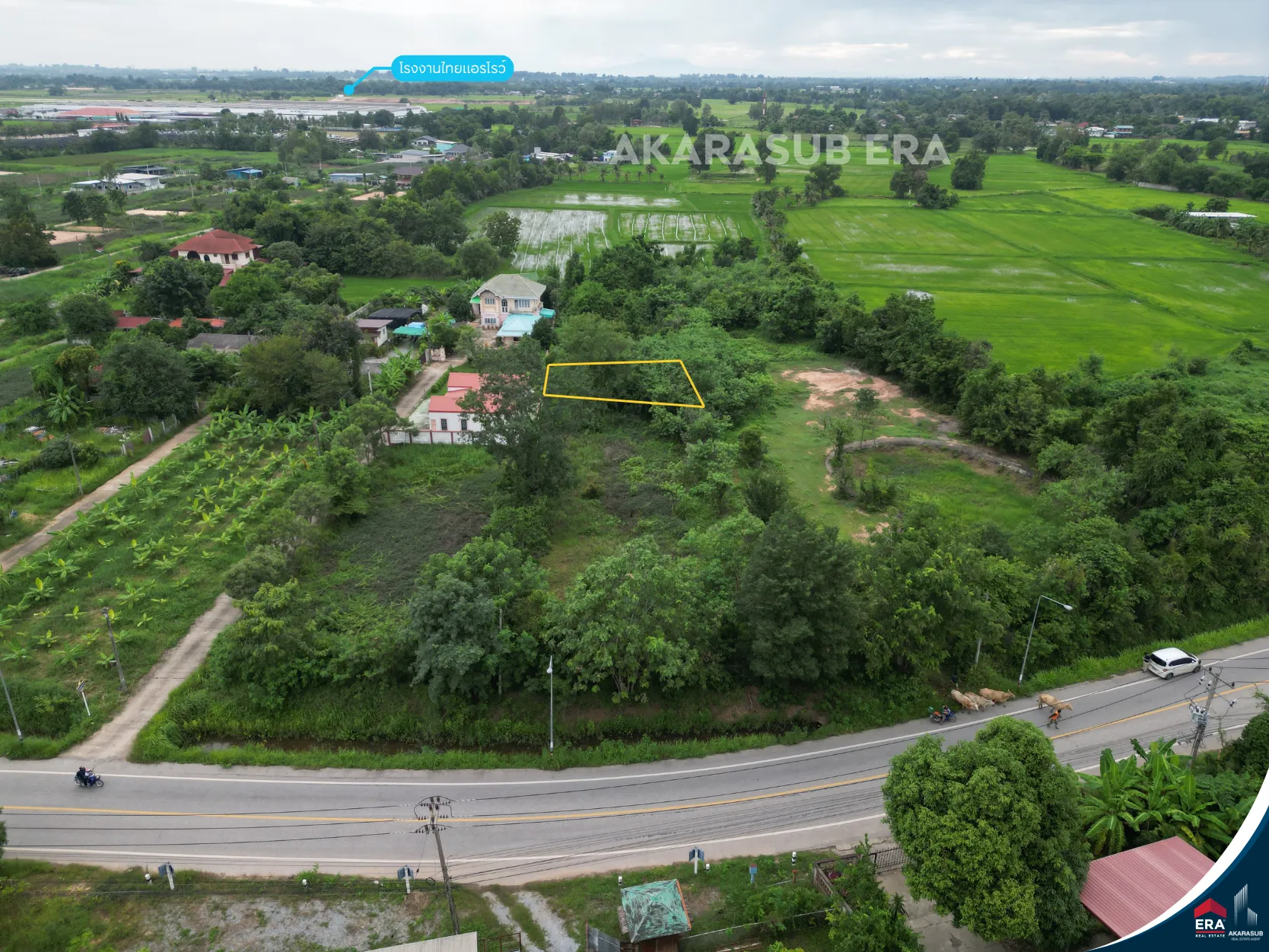 ที่ดิน ใกล้บริษัทไทยแอโรว์ พิษณุโลก ขนาด 50 ตร.วา รูปที่ 5