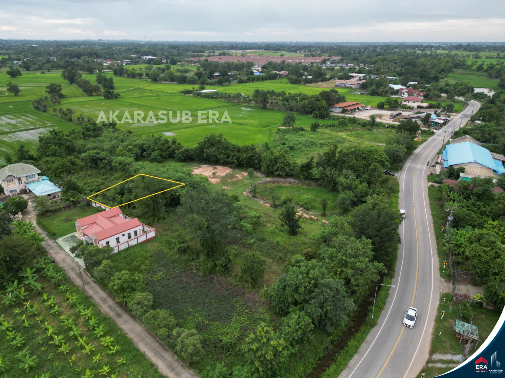 ที่ดิน ใกล้บริษัทไทยแอโรว์ พิษณุโลก ขนาด 50 ตร.วา รูปที่ 6