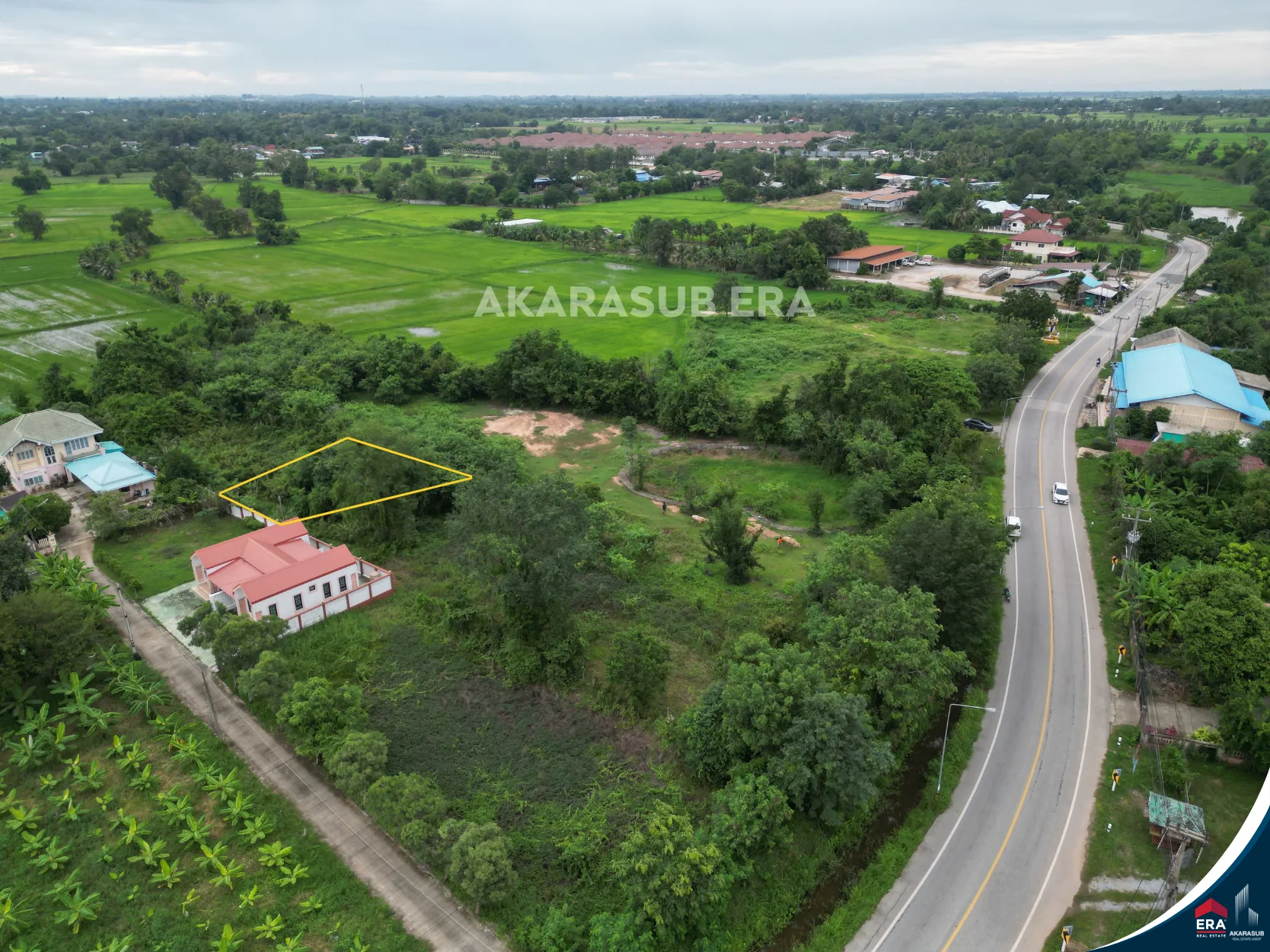 ที่ดิน ใกล้บริษัทไทยแอโรว์ พิษณุโลก ขนาด 50 ตร.วา รูปที่ 7