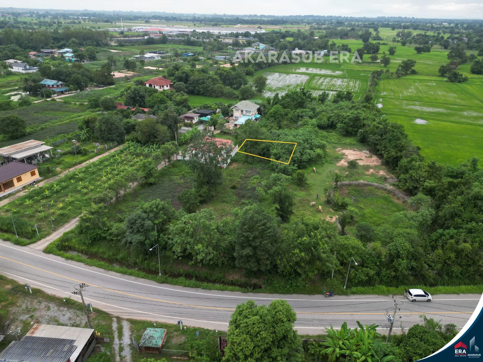 ที่ดิน ใกล้บริษัทไทยแอโรว์ พิษณุโลก ขนาด 50 ตร.วา รูปที่ 8