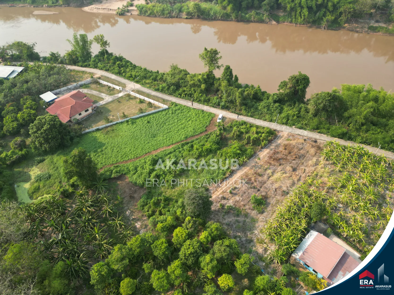 ที่ดินเปล่า 1ไร่กว่า ด้านหน้าติดแม่น้ำน่าน รูปที่ 15