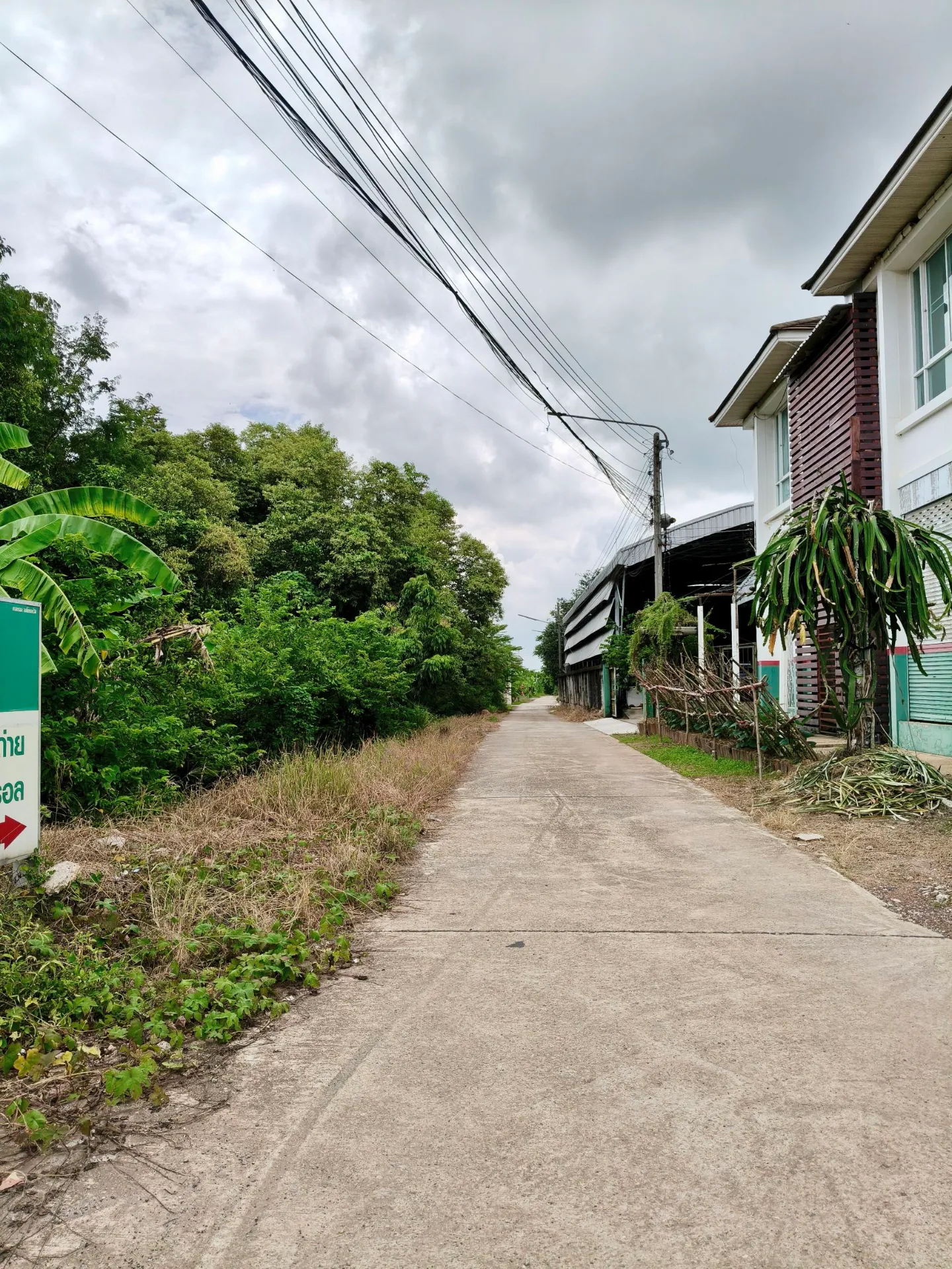 ที่ดินทำเลศักยภาพติดถนน เส้นบึงพระ ใกล้สนามบินพิษณุโลก รูปที่ 2