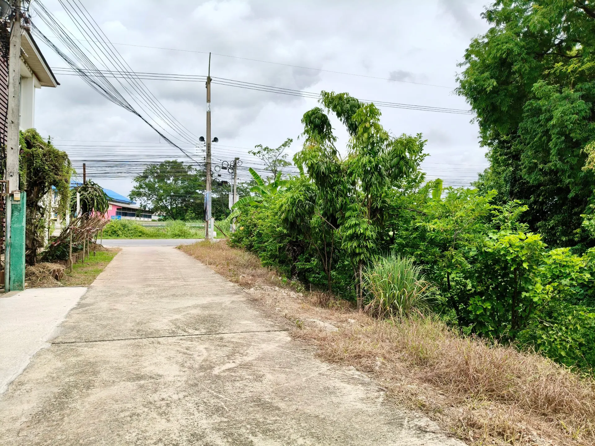 ที่ดินทำเลศักยภาพติดถนน เส้นบึงพระ ใกล้สนามบินพิษณุโลก รูปที่ 5